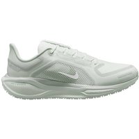 NIKE Herren Laufschuhe AIR ZM PEGASUS 41 GTX von Nike