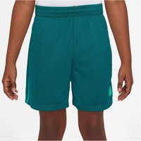 NIKE Multi Dri-FIT Graphic Trainingsshorts Jungen 381 - geode teal/clear jade ii/clear jade ii M (137-147 cm) von Nike