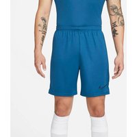 Nike Herren Shorts Dri-FIT Academy von Nike