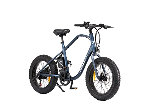 Nilox, E-Bike J3 Plus, Elektrofahrrad mit Tretunterstützung, 70 km Reichweite, bis zu 25 km/h, High-Speed-Antrieb 250 W, 36 V 12,8 Ah Lithium-Akku, 20" Fat Wheels, 7-Gang-Schaltung, Scheibenbremsen Nilox, E-Bike J3 Plus, Elektrofahrrad mit Tretunterstützung, 70 km Reichweite, bis zu 25 km/h, High-Speed-Antrieb 250 W, 36 V 12,8 Ah Lithium-Akku, 20" Fat Wheels, 7-Gang-Schaltung, Scheibenbremsen von Nilox