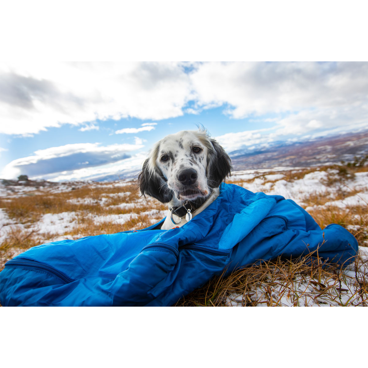 Non-stop dogwear LY SLEEPINGBAG | 182 | Outdoor Hundeschlafsack von Non-stop dogwear