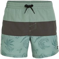 O'NEILL Badehose MIX & MATCH CALI BLOCK 15'' SWIM SHORTS von O'Neill