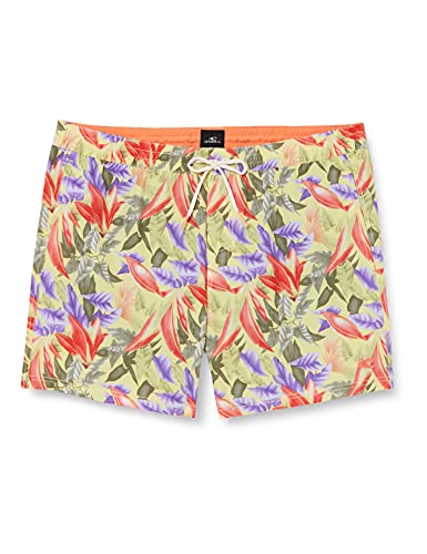 O'Neill Pm Glamfornia Panel Shorts für Herren, 4 Stück, Boardshorts, 1A3201-6930-L, Mehrfarbig, 1A3201-6930-L L/XL O'Neill Pm Glamfornia Panel Shorts für Herren, 4 Stück, Boardshorts, 1A3201-6930-L, Mehrfarbig, 1A3201-6930-L L/XL von O'Neill