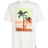 ONEILL Herren Shirt JACK NEON T-SHIRT ONEILL Herren Shirt JACK NEON T-SHIRT von O'Neill