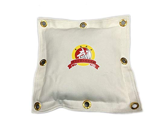 OAREA Wing Chun Boxsack Kung Fu Martial Arts Wandtasche Kick Boxing Sand Bag von OAREA