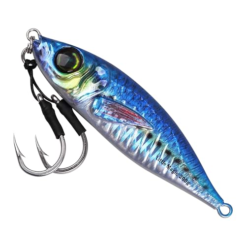 Slow Pitch Jigs Salzwasser Angelköder Speed Jigging Slow Pitch Jigs mit Assist Hooks Butterfly Jigs 3D Druck Offshore Tiefseefischen Pitching Köder für Thunfisch Kingfish Bluefin von OROOTL