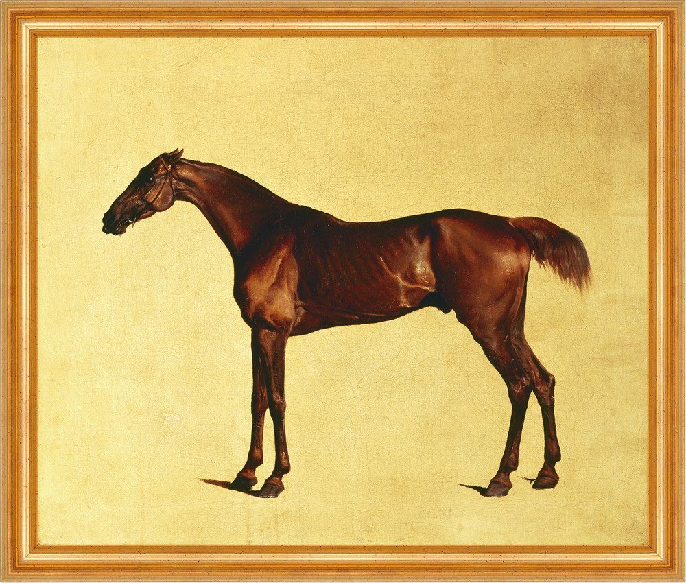 Kunstdruck Pangloss Stubbs Pferde Rassen Tiere Brauner Trense Hengst B A3 00030 G, (1 St) von OTTO