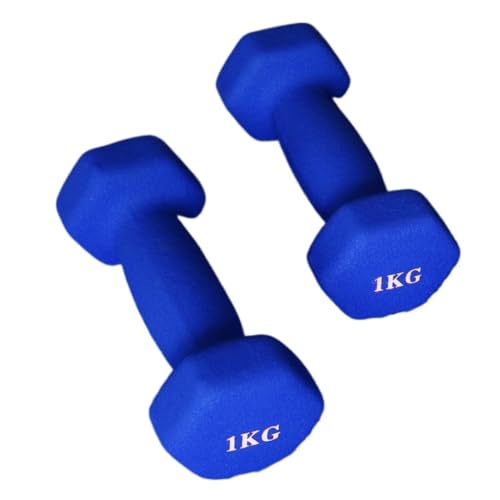 OZWYCY Dumbells Dip-Hanteln aus Kunststoff for Damen-Fitness-Heimgeräte, kleine Hanteln aus massivem reinem Eisen for Herren-Yoga-Arme Kurzhantel(Blue,8KG) von OZWYCY