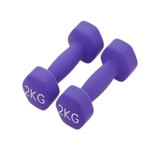 OZWYCY Dumbells Dip-Hanteln aus Kunststoff for Damen-Fitness-Heimgeräte, solide, kleine Hanteln aus reinem Eisen for Herren-Yoga-Arme Kurzhantel(Purple,8kg) von OZWYCY