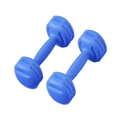 OZWYCY Dumbells Fitness-Kleinhanteln for Männer Und Frauen, Damenhanteln for Armmuskeltraining, Heimfitnessgeräte Kurzhantel(BlueA,10KG) von OZWYCY