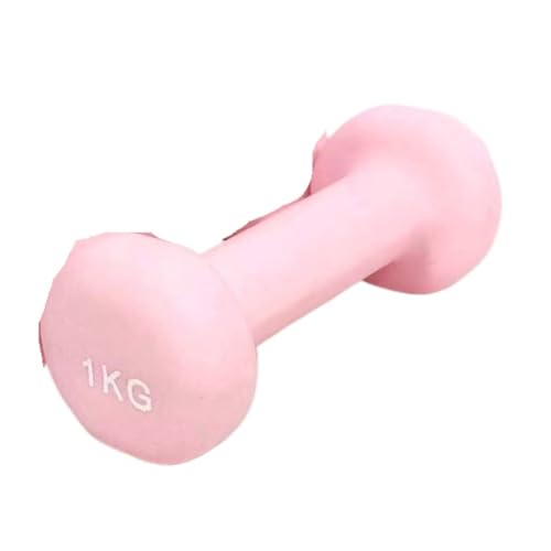 OZWYCY Dumbells Hantel Aus Kunststoff, Getaucht, Aus Massivem Gusseisen, Einzelhantel, rutschfest, Mattiert, for Damen, Heimfitness, Gewichtheber Aus Eisen Kurzhantel(Pink,4kg) von OZWYCY