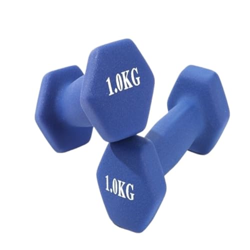 OZWYCY Dumbells Hantel Damen Fitness Haushalt Herren Student Gusseisen Glocke Ausrüstung Yoga Übung Arm Sechseckige Hantel Kurzhantel(Blue,16kg) von OZWYCY