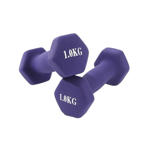 OZWYCY Dumbells Hantel Damen Fitness Haushalt Herren Student Gusseisen Glocke Ausrüstung Yoga Übung Arm Sechseckige Hantel Kurzhantel(Purple,4kg) von OZWYCY