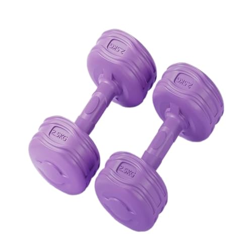 OZWYCY Dumbells Hantel Damen Fitness Heimfitness Trainingsgerät Armmuskeltraining Gummibeschichtete Kleine Hantel Kurzhantel(Purple,3kg) von OZWYCY