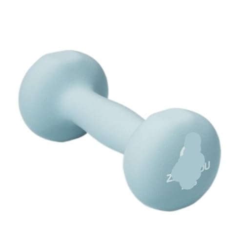 OZWYCY Dumbells Hanteln for Das Heimfitnesstraining, In Mattiertem Kunststoff Getaucht, Schweißfest Und rutschfest, Solide Kleine Hanteln Kurzhantel(4kg) von OZWYCY