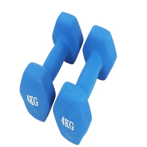 OZWYCY Dumbells Heimfitness-Hanteln for Männer und Frauen, EIN Paar Bunte kleine Hanteln und sechseckige Hanteln Kurzhantel(Blue,2kg) von OZWYCY