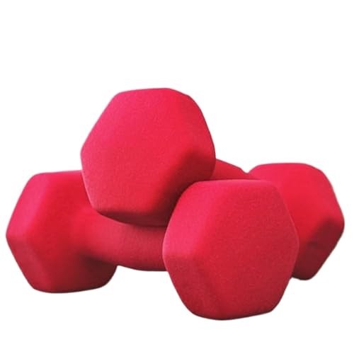 OZWYCY Dumbells Kleine Hanteln Aus Mattiertem Kunststoff, Yoga-Fitnessgeräte for Männer, EIN Paar Sechseckige Hanteln for Armübungen Kurzhantel(Red,2kg) von OZWYCY