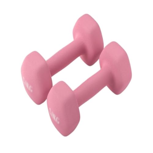 OZWYCY Dumbells Kurzhantel-Damen-Fitness-Heimgeräte, Reines Eisen, Kleines Hantel-Set, Kombinations-Armtraining for Männer Kurzhantel(Pink,2kg) von OZWYCY