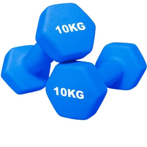 OZWYCY Dumbells Massives Hantel-Fitness-Heim-Sechseck-Hantelpaar Aus Reinem Eisen, In Kunststoff Getauchtes, Rostfreies Armtraining Kurzhantel(20KG) von OZWYCY