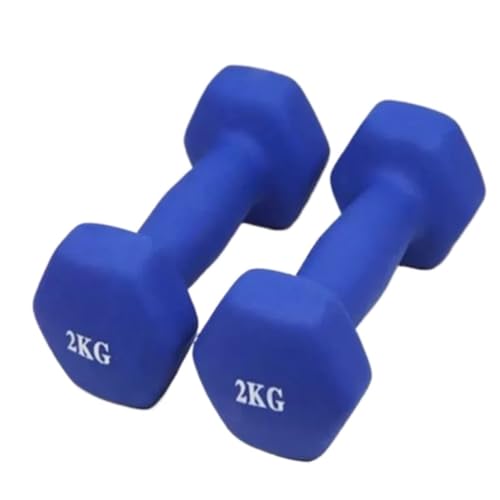 OZWYCY Dumbells Schlanke Arm-Fitness, Damen-Brust-Unterglocke, Heim-Yoga, Kleine Hantel, Sportausrüstung, Hantel for Herren, Muskelaufbau Kurzhantel(10kg) von OZWYCY