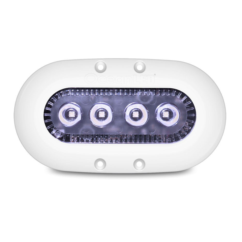 Ocean Led X4 Led Light 9-32v Durchsichtig Ocean Led X4 Led Light 9-32v Durchsichtig von Ocean Led