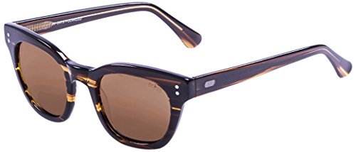 OCEAN SUNGLASSES Santa Cruz Lunettes de soleil Brown/Brown Lens von Ocean 5