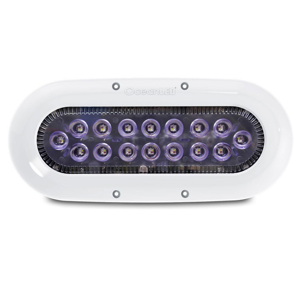 Ocean Led X16 Led Light 9-32v Durchsichtig Ocean Led X16 Led Light 9-32v Durchsichtig von Ocean Led