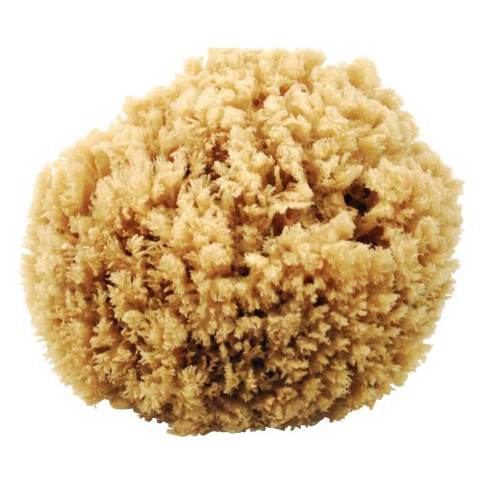 Oem Marine N46 Natural Sponge Beige Oem Marine N46 Natural Sponge Beige von Oem Marine