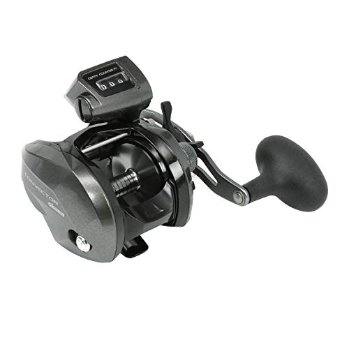Okuma Rollen Konvektor Lowprofile 3Bb + 1Rb 5.4:1 Okuma Rollen Konvektor Lowprofile 3Bb + 1Rb 5.4:1 von Okuma