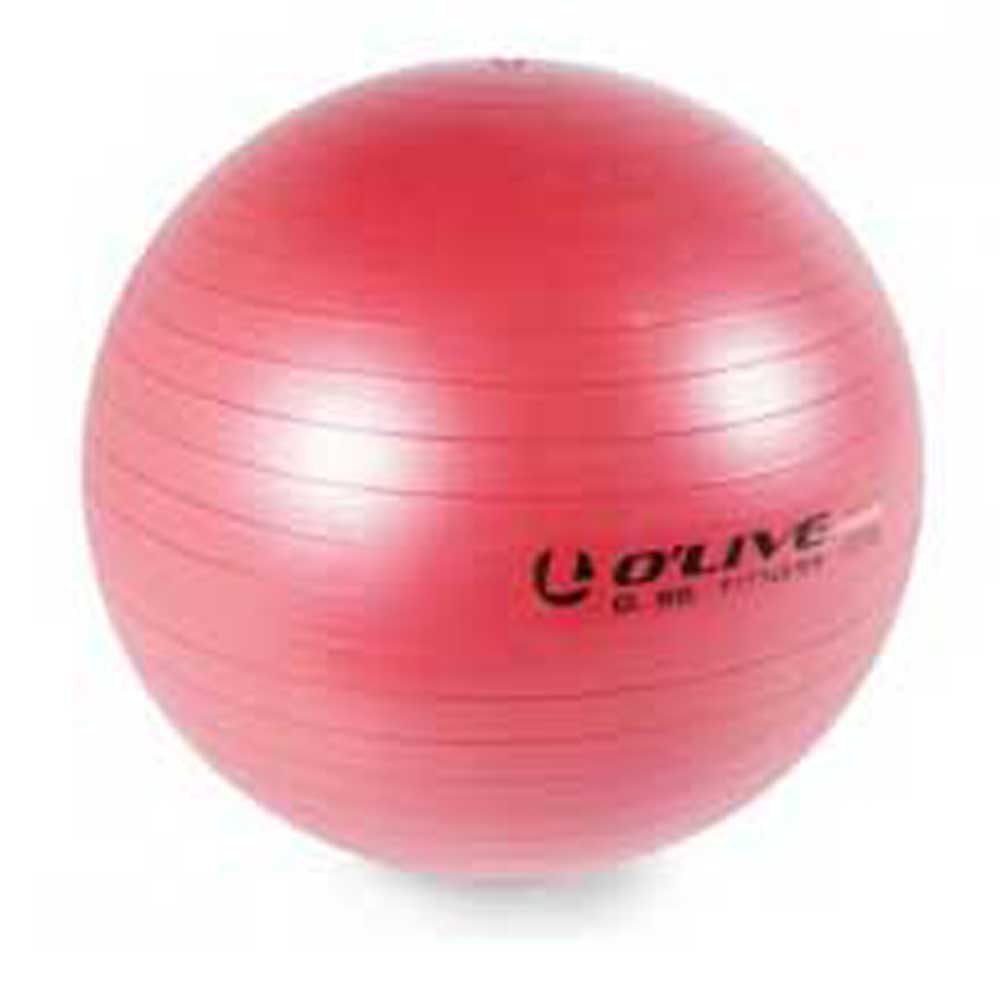 Olive Fitness Fitball Rot 75 cm Olive Fitness Fitball Rot 75 cm von Olive