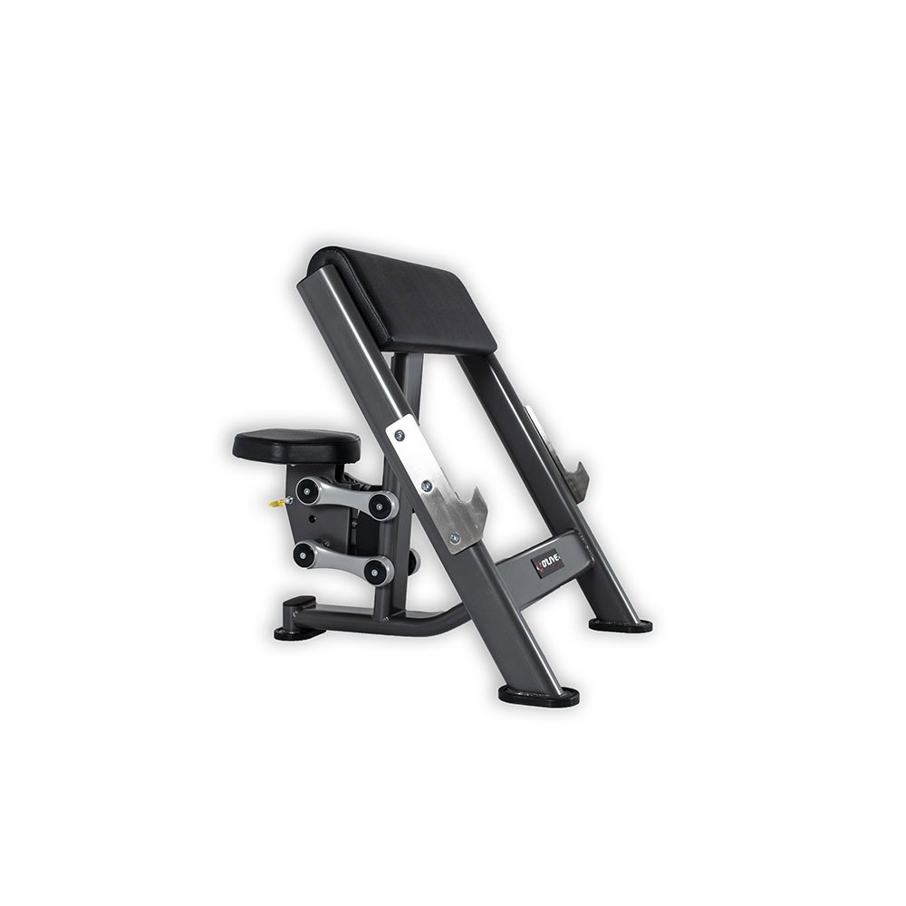 Olive Pro Series Scott Bench Silber Up to 200 kg Olive Pro Series Scott Bench Silber Up to 200 kg von Olive