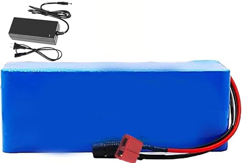 Ebike Batterie 24V 25.2V 8AH 10Ah 15Ah 18Ah 20Ah 25Ah, Fahrrad Akku 24V Mit Ladegerät Lithium-Ionen-Batterie Wasserdichter PVC-Akku Für 1000W 800W 500W 200W Elektrofahrrad 25.2V 10AH(1),T von OmurgA