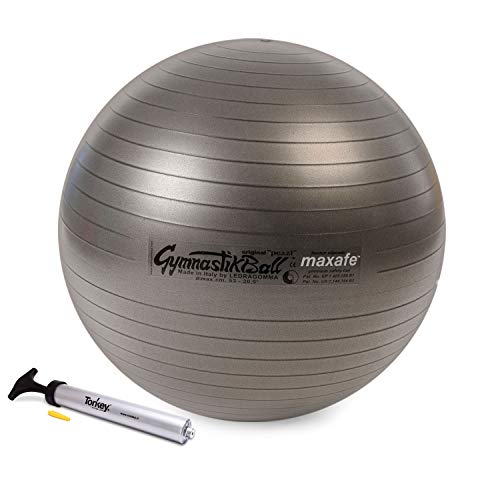 Original Pezzi Ball MAXAFE 75cm silber mit Pezzi Pumpe Gymnastikball Sitzball von PEZZI