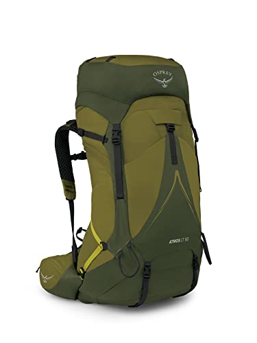 Osprey Atmos AG LT 50 Scenic Valley/Green Peppercorn L/XL von Osprey