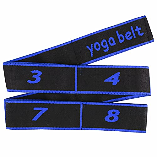 Fitnessbänder, Resistance Bands mit 8 Kraftstufen Terrabänder Widerstandsbänder Gymnastikband für Yoga Pilates Sport Home Gym(Blau) von PAEFIU