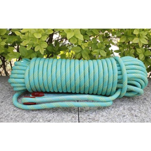 PAHION 20mm Statisches Kletterseil 49ft 82ft 115ft 148ft 295ft 591ft Outdoor-Kletterseil Fluchtseil Rettungsfallschirmseil Für Leibeserziehung Krafttraining(Green,20mm x 190m) von PAHION