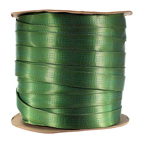 Paracord Planet Rohrförmiges Gurtband, 2,5 cm, Klettergurtband, strapazierfähiges Nylon/Rettungsgeschirr, ideal für den Außenbereich (4,5 m – Kiwi) von PARACORD PLANET