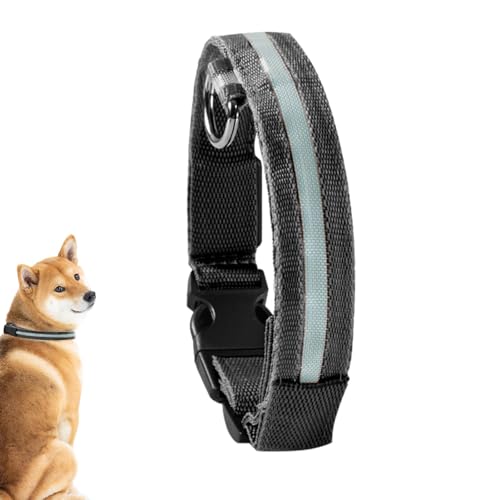 PASSI Leuchthalsband,Blinkendes Leuchthalsband für Hunde - Wiederaufladbares, blinkendes LED-Sicherheitshalsband für mittelgroße und kleine Haustiere und Hunde von PASSI