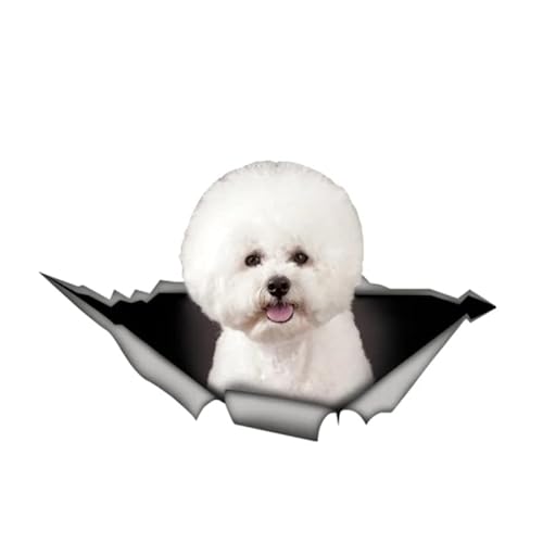 S50510# Verschiedene Größen Persönlichkeit PVC Aufkleber Bichon Frise Hund V2 wasserdichte Auto Aufkleber auf Motorrad Laptop Dekorative von PEBKYFA