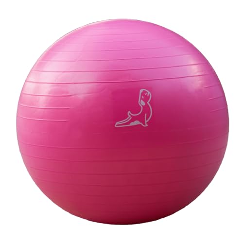 PETARYA Gymnastikball, Fitness Sitzball, 65 cm 300kg, Anti-Burst, Trainingsball Yoga Pilates Gym, Fitnessball für Core-Training, Balance Ball, Body Stretching, Yoga Ball, Pink von PETARYA