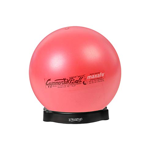 Original Pezzi Pezziball MAXAFE 53 cm m. Ballschale rot Sitzball von PEZZI