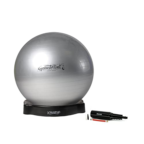 Original Pezziball Standard 42 cm anthrazit m. Ballschale & Pumpe Gymnastiball Original Pezziball Standard 42 cm anthrazit m. Ballschale & Pumpe Gymnastiball von PEZZI