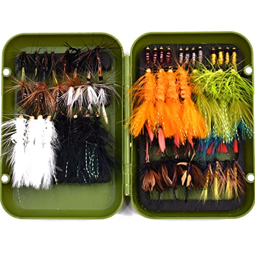 32/40/60/68pcs Fischen Fliegen Set Trockene nasse Fliegen Nymphen, Streamer, Wolle Bugger, Terrestrials, Insekt Lure Se (B-Verschiedene Fliegen in Green Box-60Pcs) von PHECDA PROFLY