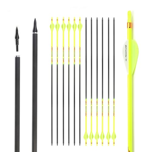 PHILOCS 12 Stück ID 6,2 mm Gelber Schaft Jagdpfeile, Spine 300 340 400 500 600 700 800, für Compound-Bogen Recurve-Bögen Bogenschießen (29inch,Spine 300) von PHILOCS