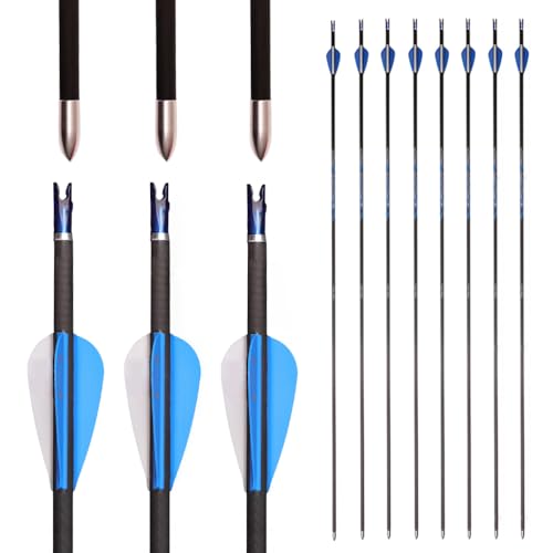 PHILOCS 12Stück Reinkohle-Pfeile Spine 250 300 350 400 500 600 650 700 750 800 900 1000 Jagdpfeil, ID 4.2mm Übungspfeil, für Recurve-Bogen Compound-Bögen Bogenschießen (Spine 1000, 30inch) von PHILOCS