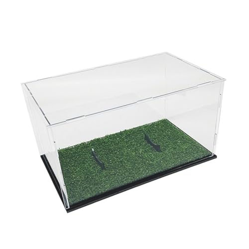 PLCPDM Fußball Display Box Acryl Durchsichtige Fußball Halterung Präsentationsbox Mit Ständer Für Die Sammlung Von Basketball Volleyball von PLCPDM