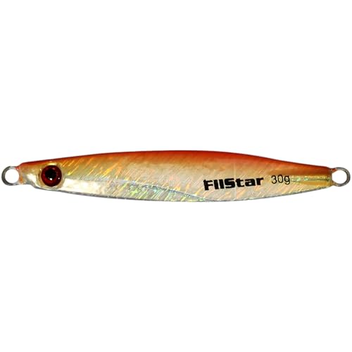 PRO FILSTAR Pilker UV11 7cm 30g - Аsymmetrisch Fischköder - Hochseeangeln & Meeresangeln - Hornhecht & Makrelen Köder - Forelle & Raubfisch Köder - Meerforelle - Angeln Kunstköder - Angelköder Wobbler PRO FILSTAR Pilker UV11 7cm 30g - Аsymmetrisch Fischköder - Hochseeangeln & Meeresangeln - Hornhecht & Makrelen Köder - Forelle & Raubfisch Köder - Meerforelle - Angeln Kunstköder - Angelköder Wobbler von PRO Filstar