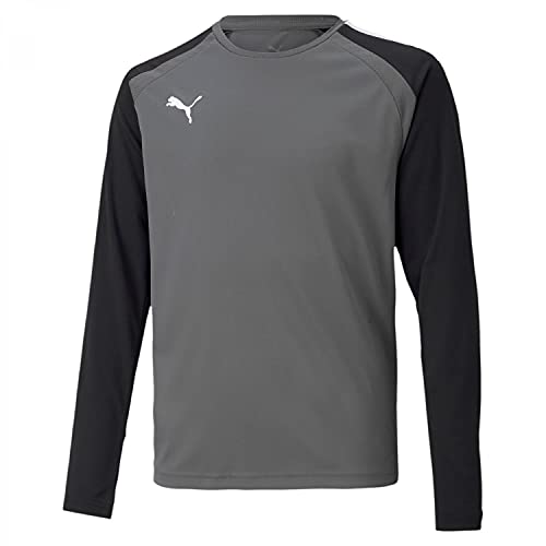 PUMA Herren Teampacer Gk Ls JERS Langarmshirt, Perle (Smoked Pearl), 12 Años von PUMA