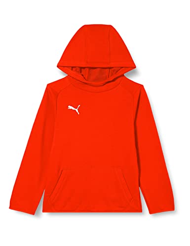 PUMA Jungen, LIGA Casuals Hoody Jr Hoodie, Red-White, 164 PUMA Jungen, LIGA Casuals Hoody Jr Hoodie, Red-White, 164 von PUMA