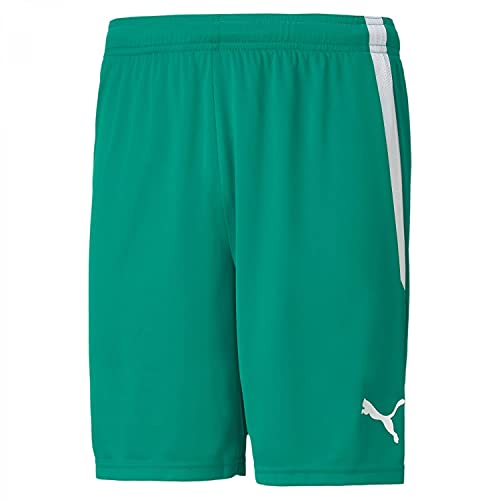 PUMA Teamliga Shorts Boardshorts, Grün (Pepper Green Wh), L von PUMA